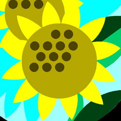 sunflower2